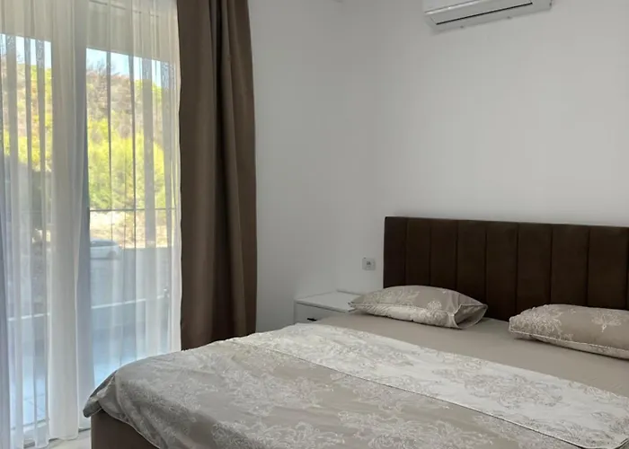 Ilyonis Mias * Shëngjin